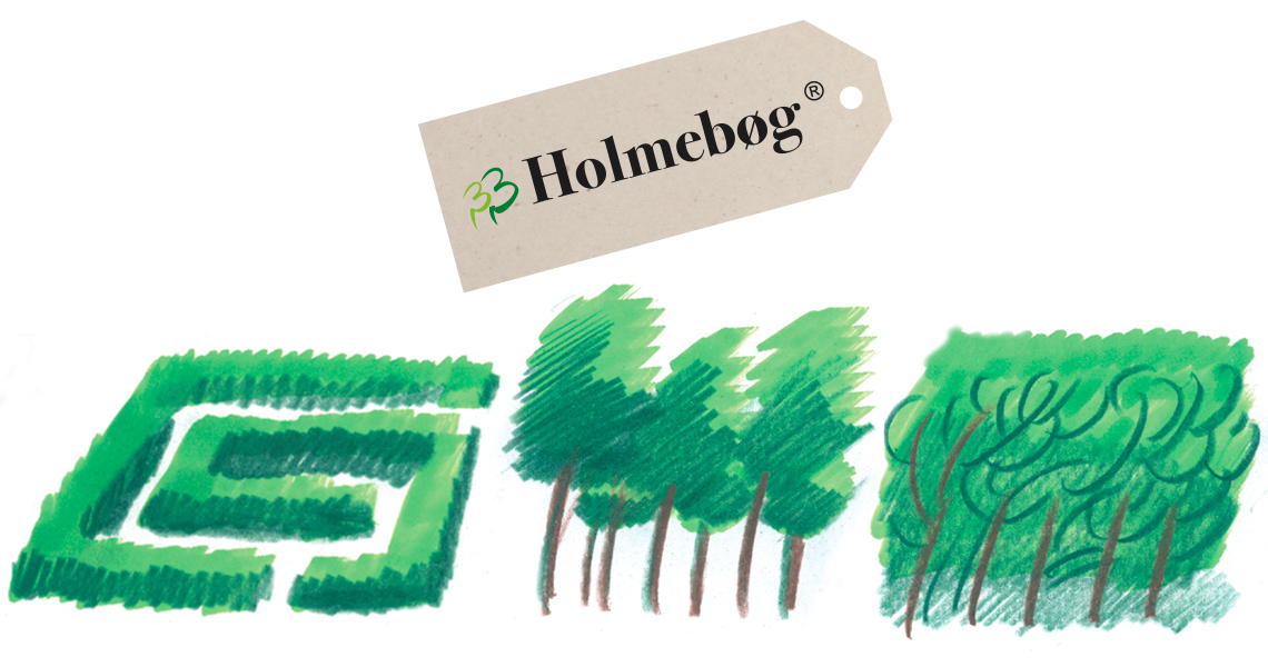 Holmebøg bøgehæk Djursland