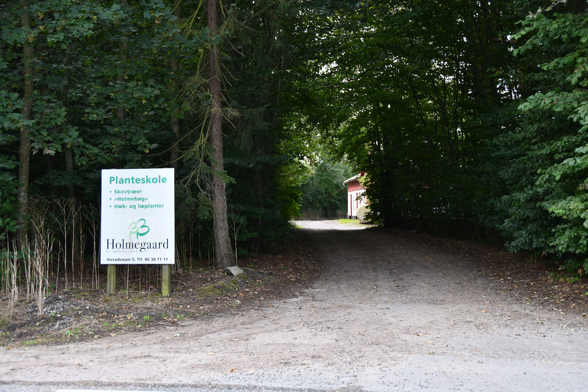 Skovplanteskolen Holmegaard skilt ved indgangen til planteskolen med en skovvej.